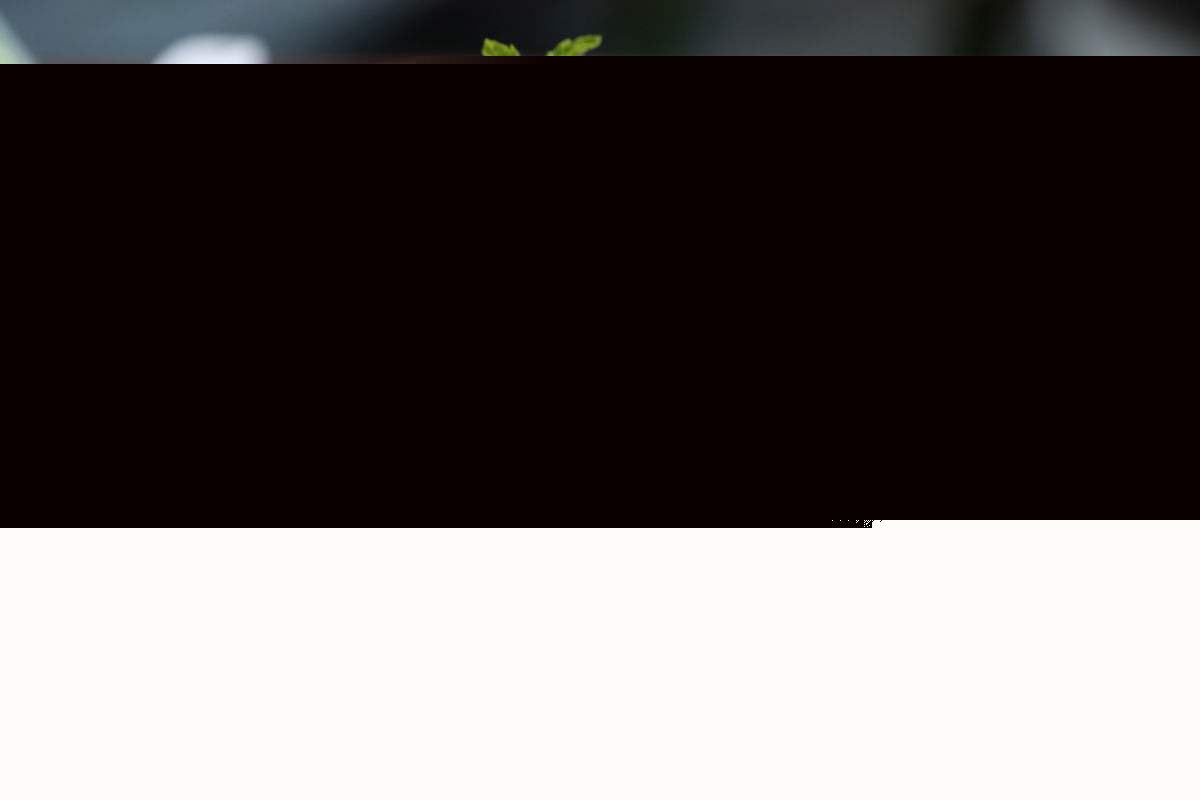 雷竞技官网 雷竞技APP未来三五年餐饮行业哪些比较火爆？看看资深餐饮人回答！(图5)
